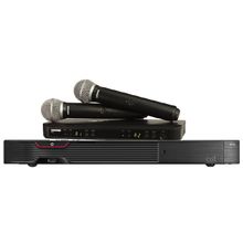 Караоке AST-250 с микрофонами SHURE BLX288E SM58