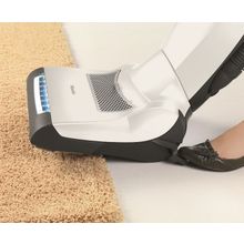 MIELE Dynamic U1 Allergy белый лотос