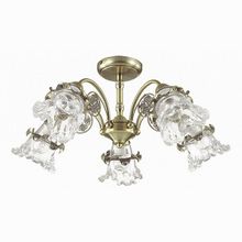 Lumion Eloisa 3450 5C