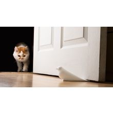 Qualy для двери Dove розовая