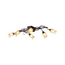 N-Light PX-0205 6C люстра потолочная