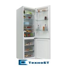 Холодильник Candy CCRN 6200W