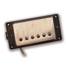 ANTIQUITY HUMBUCKER NECK