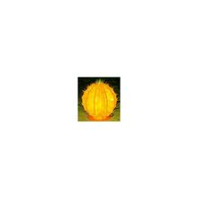 Светодиодное украшение - "Кактус маленький"   высота - 0,48  метра, Желтый