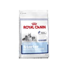 Royal Canin Maxi Starter (Роял Канин Макси Стартер) сухой корм для щенков