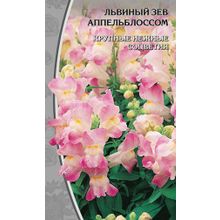Львиный зев  Апельблоссом  0,2 гр
