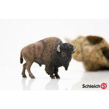 Schleich Американский бизон