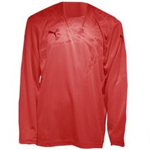 Свитер Puma Вратаря Graphik Gk Shirt 70039903