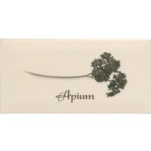 Керамическая плитка Ape Biselado Decor Alium Crema декор 10х20