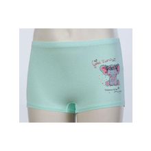 Трусы шорты для девочек Baykar - 5562