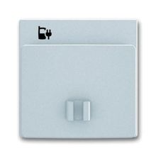 ABB Лицевая панель ABB BJE блока питания micro USB сталь 2CKA006400A0031 ID - 88140