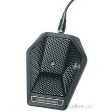 AUDIO-TECHNICA AUDIO-TECHNICA U891Rx