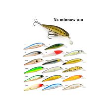 RAIDEN Воблер RAIDEN Xs-Minnow 100 16гр. 13