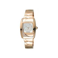 Pierre Cardin PC100332F02