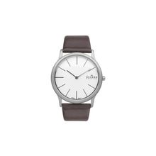 Мужские часы Skagen 858XLSLD