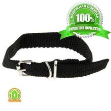 Ошейник 33,5 х 1,5 см - полиэстр, синий 1120993