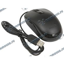 Оптическая мышь Genius "DX-125", 2кн.+скр., черный (USB) (ret) [139908]