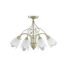 Люстра потолочная A4900PL-5AB Arte Lamp