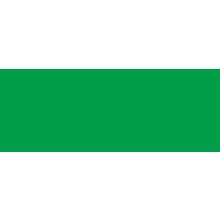 Project Professional for Office 365 Open ShrdSvr Single Language SubsVL OLP NL Annual Qualified