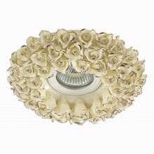 Novotech Farfor 370045