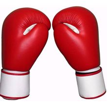 Боксёрские перчатки Falcon TS-BXGP3 12 унций красный