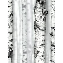 Обои Andrea Rossi 54198-1 Sicily