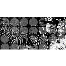 Керамическая плитка Уралкерамика Дива ВС9ДВ702 декор 24,9х50