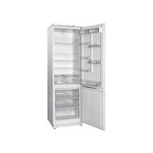 Холодильник Атлант 6096-031