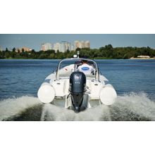 Лодочный мотор Yamaha F115BETL