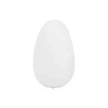 PAULMANN  Настольная лампа Paulmann 29032