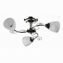 Toscom Molli TC-990-303