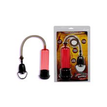 Духи Sexy Life № 10 JAdore женские 10 мл