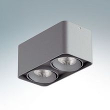 Lightstar 212529 MONOCCO точеченый накладной светильник