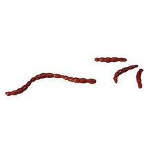 Имитация мотыля Gulp! Alive Maxi Blood Worm, 25г, Red Berkley