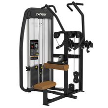 Тренажер для вертикальной тяги Cybex Eagle