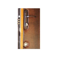  Дверь входная металлическая ДГВ 9-Мк "Тюльпан"