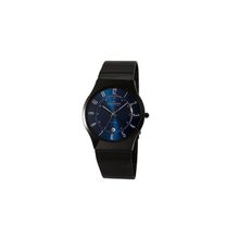 Мужские часы Skagen T233XLTMN