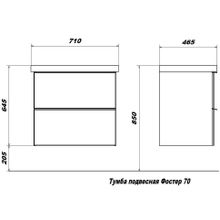 Тумба подвесная с умывыльником Sanstar "Фостер" 70 2 ящ, белый (ум-к Фостер 70)