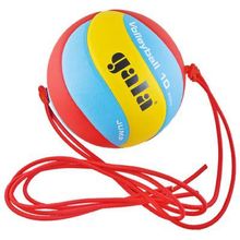 Мяч волейбольный Gala Jump BV5481S
