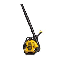 Воздуходувное устройство CHAMPION GBR333