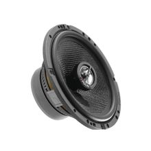 Focal Acess 165 CA1