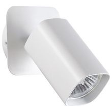 Novotech Спот Novotech Gusto 370553 ID - 385663