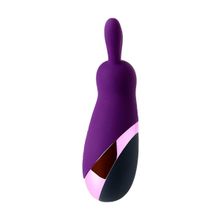 Eromantica Фиолетовый стимулятор эрогенных зон Eromantica BUNNY - 21,5 см.