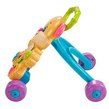 Fisher Price (MATTEL) Mattel Fisher-Price FRD06 Фишер Прайс Ходунки "Сестричка Ученого Щенка" FRD06