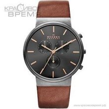 Skagen SKW6106