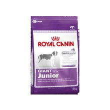 Royal Canin Giant Junior (Роял Канин Джайнт Юниор) сухой корм для щенков