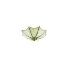 Светильник потолочный ARTE Lamp A9232PL-2AB