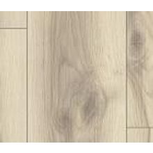 Дуб Альберта полярный