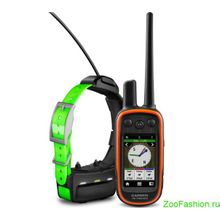 ALPHA 100 с ошейником ТT15 ( )