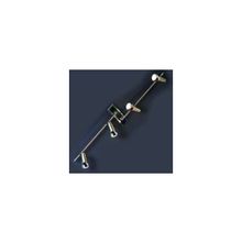 Lussole LSL-1499-04 FOSSOMBRONE спот (поворотный светильник)